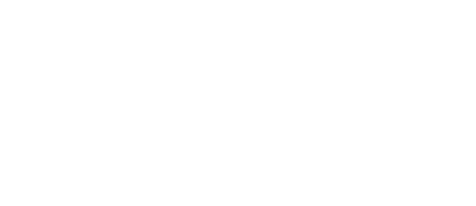lenovo960